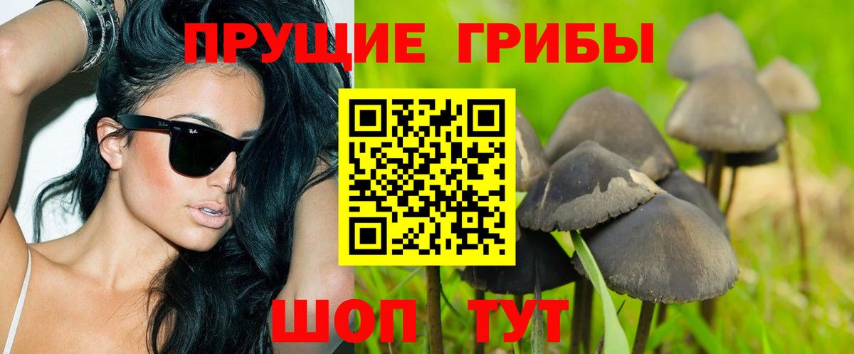 Галлюциногенные грибы мухоморы  Вход с VPN  Сочи  Псилоцибиновые грибы ЛСД 
